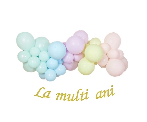 CHIT SEMIARCADA CU BALOANE PASTELATE MACARONS SI BANNER LA MULTI ANI - 45 BUC