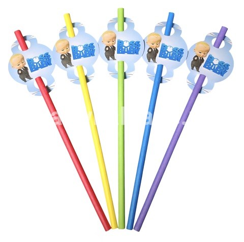 SET 10 PAIE TEMATICA BABY BOSS
