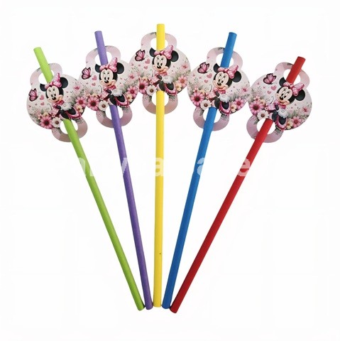SET 10 PAIE TEMATICA MINNIE
