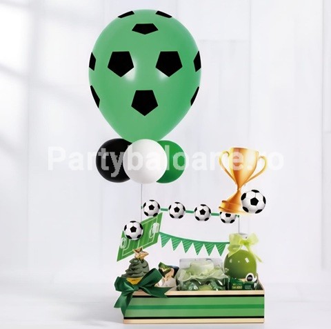 SET 5 BALOANE CU SUPORT INCLUS - TEMATICA FOTBAL