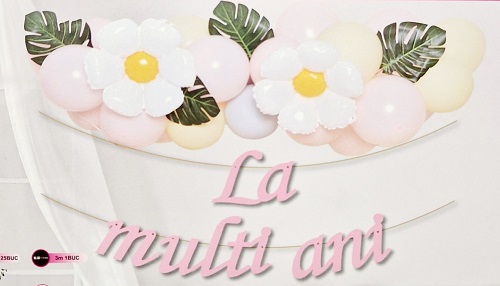 SET GHIRLANDA CU BALOANE IN NUANTE DE ROZ SI GALBEN MACARONS CU BANNER LA MULTI ANI