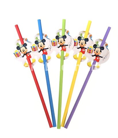 SET 10 PAIE TEMATICA MICKEY